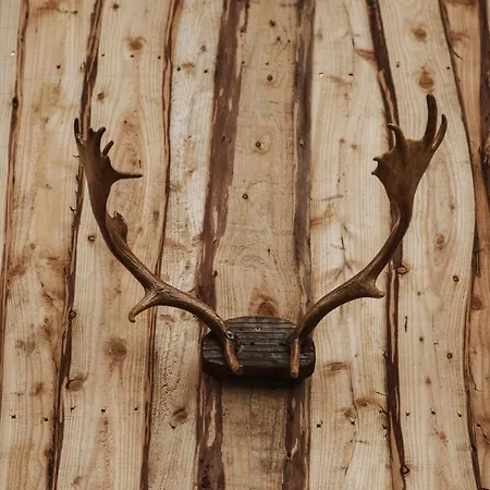 Semesterbostad Rogate Zasan