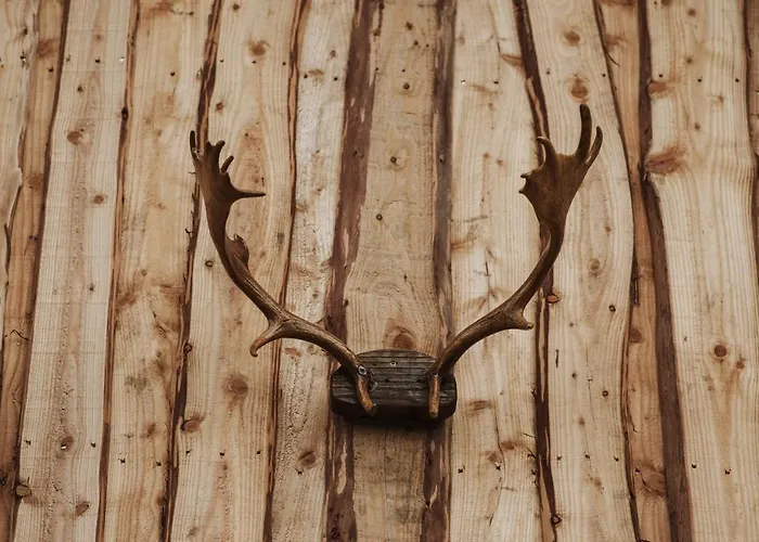 Prázdninový dům Rogate Zasan